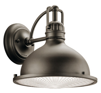 Hatteras Bay One Light Outdoor Wall Mount in Olde Bronze (12|49067OZ)