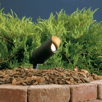 One Light Landscape Accent in Textured Black (12|15384BKT)