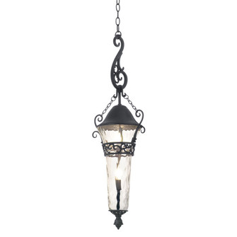 Anastasia Two Light Outdoor Hanging Lantern in Textured Matte Black (33|9417MB)