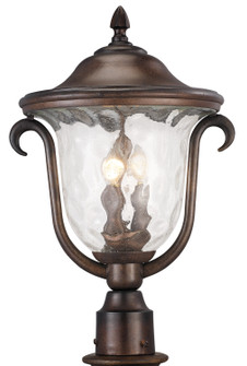 Santa Barbara Three Light Outdoor Hanging Lantern in Burnished Bronze (33|9012BB)