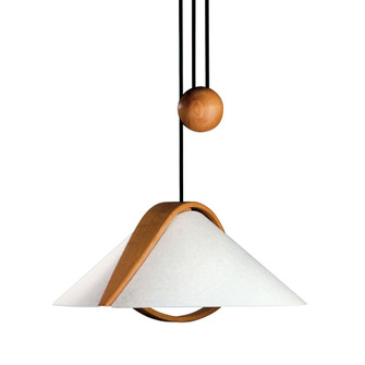 Domus Two Light Pendant (102|DOM-8551)