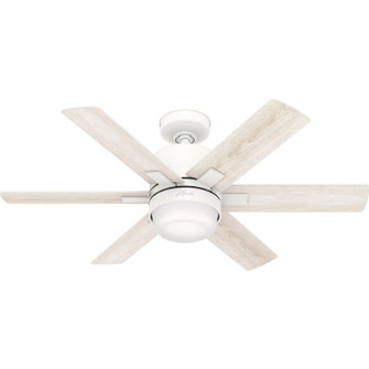 Radeon 44''Ceiling Fan in Matte White (47|50955)