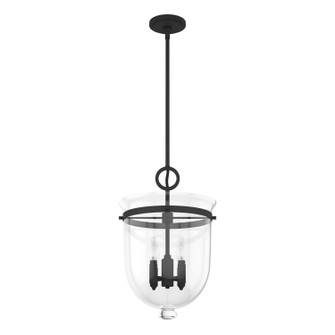 Belltown Four Light Pendant in Natural Black Iron (47|19313)