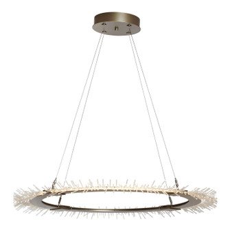 Anemone LED Pendant in Dark Smoke (39|139772-LED-STND-07)