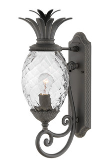 Plantation LED Outdoor Lantern in Museum Black (13|2120MB)