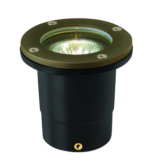 Hardy Island Well Light LED Landscape Well in Matte Bronze (13|16701MZ)