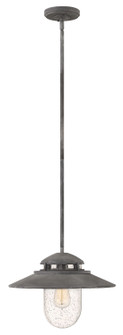 Atwell LED Hanging Lantern in Aged Zinc (13|1112DZ)