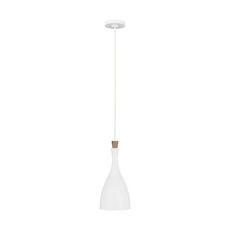 Darwin One Light Pendant in Matte White (454|EP1131MWT)