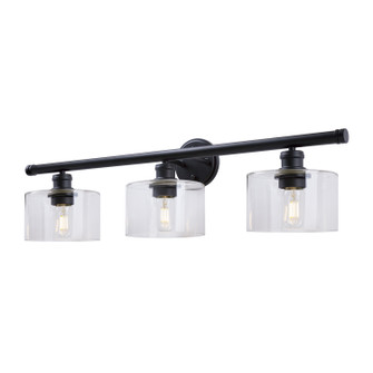 Zane Three Light Bath Vanity Light in Black (112|5748-03-04)