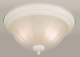 White D Two Light Flush Mount in White (112|20002-02-03)