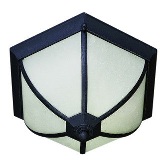 Two Light Outdoor Flush Mount in Black (112|17007-02-04)