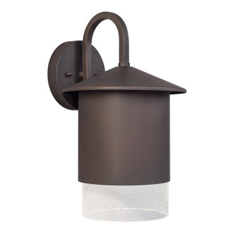 One Light Outdoor Lantern in Antique Bronze (112|1154-01-32DS)