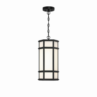 Monte LED Outdoor Pendant in Satin Black (40|42691-013)