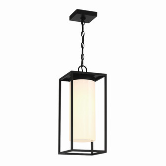 Ren One Light Outdoor Pendant in Satin Black (40|41964-019)