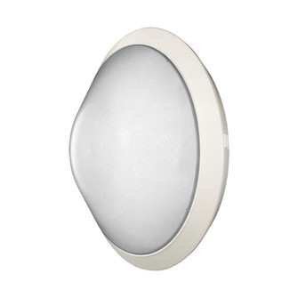 Excell One Light In Wall in White (40|23916-012)