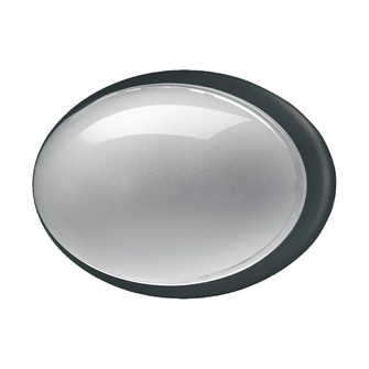 Class Oval One Light Wall Sconce in Black (40|23904-026)