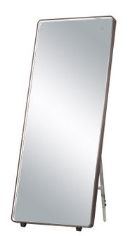 Mirror LED Mirror (86|E42018-90BRZ)