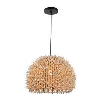 Durian One Light Pendant in Natural (45|H0118-8599)