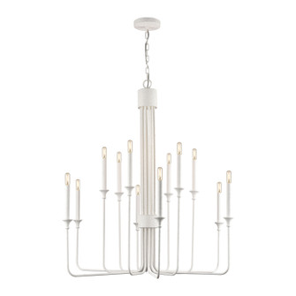 Edward 12 Light Chandelier in Matte White (45|D4657)