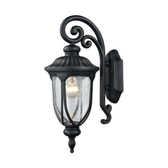 Derry Hill One Light Outdoor Wall Sconce in Matte Black (45|87100/1)