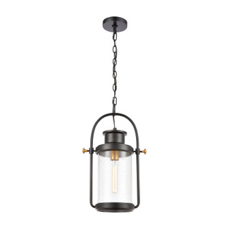 Wexford One Light Outdoor Pendant in Matte Black (45|46672/1)