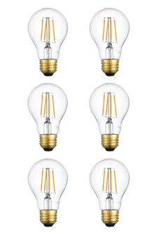 Raedyn Light Bulb in Gold (419|A19LED102-6PK)