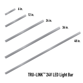 Light Bar in Silver (399|DI-24V-TR30SF-12-SV)