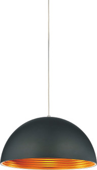 Modest One Light Pendant in Black (401|9629P16-1-101)