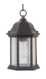 Hex Style Cast One Light Pendant in Textured Black (46|Z291-TB-CS)