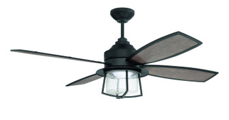 Waterfront Indoor/Outdoor 52''Ceiling Fan in Flat Black (46|WAT52FB4)