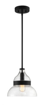 Pendant One Light Mini Pendant in Flat Black (46|P960FB1)