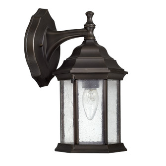 Main Street One Light Outdoor Wall Lantern in Old Bronze (65|9832OB)