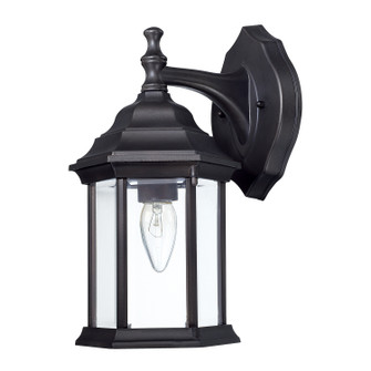 Outdoor One Light Outdoor Wall Lantern in Black (65|9830BK)