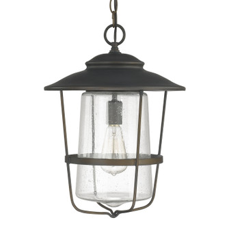 Creekside One Light Outdoor Hanging Lantern in Old Bronze (65|9604OB)