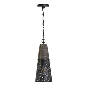 Coker One Light Pendant in Barn House (65|333911BH-692)