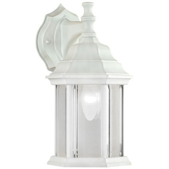 One Light Outdoor Wall Mount in White (387|IOL411)