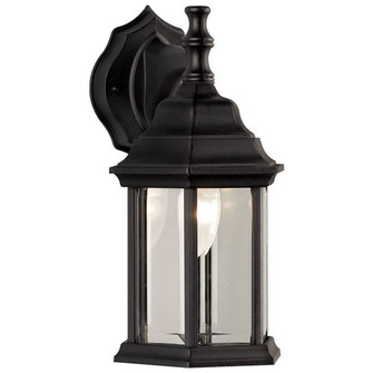 One Light Outdoor Wall Mount in Black (387|IOL410)