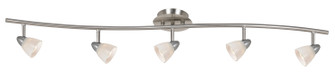 Serpentine Five Light Pendant in Brushed Steel (225|SL-954-5-BS/WH)