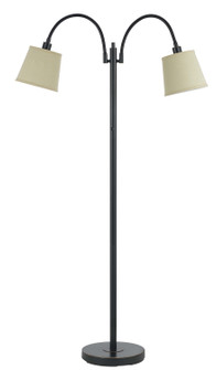 Gail Two Light Floor Lamp in Dark Bronze (225|BO-2444FL-DB)