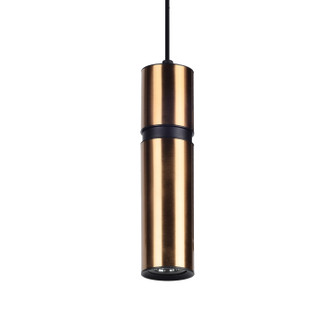 Cicada One Light Pendant in Brass / Black (192|HF1076-BBK)