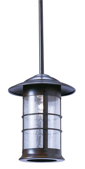 Newport One Light Pendant in Raw Copper (37|NSH-9LCR-RC)