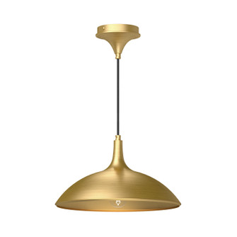 Abel One Light Pendant in Brushed Gold (452|PD627914BG)