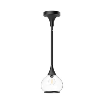 Hazel One Light Pendant in Clear Glass/Matte Black (452|PD524006MBCL)