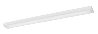 Shaw LED Linear in White (162|SHAL054840L40MV)