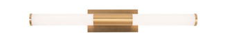 Dax LED Vanity in Satin Brass (162|DAXV3605L30D1SB)
