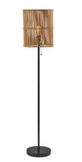 Cabana Floor Lamp in Dark Bronze Painted (262|4198-12)