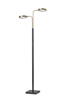 Rowan LED Floor Lamp in Black & Antique Brass (262|4127-01)