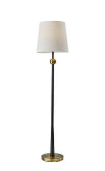 Francis Floor Lamp in Black & Antique Brass (262|1575-01)