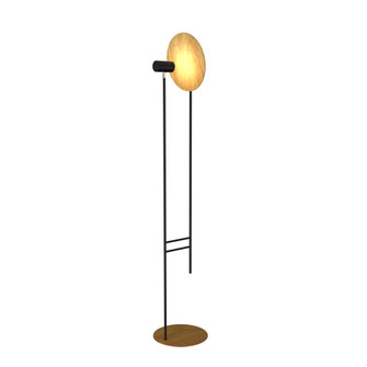 Dot One Light Floor Lamp in Louro Freijo (486|3126.09)