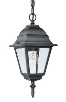 Builders` Choice One Light Hanging Lantern in Matte Black (106|4006BK)